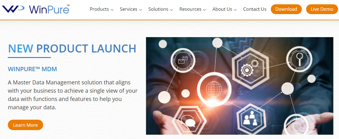 Data Cleaning Services: Winpure | Hevo Data
